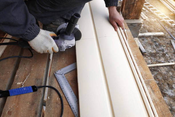 Best Custom Trim and Detailing for Siding  in Palisade, CO