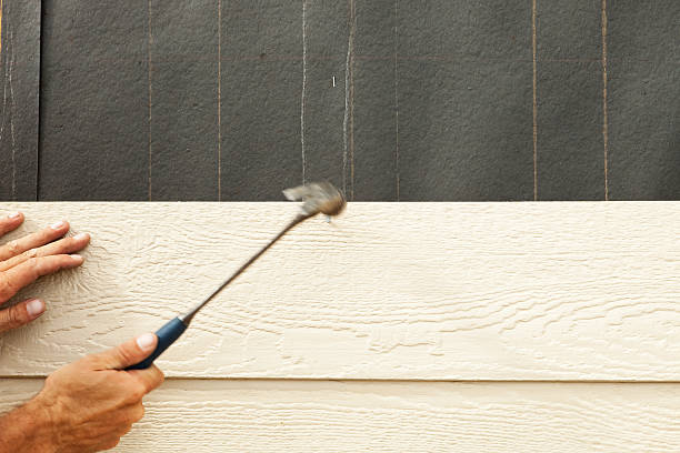 Best Stone Veneer Siding  in Palisade, CO